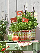 HERBS IN A BASKET