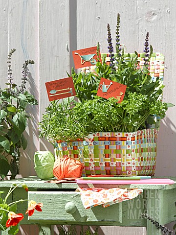 HERBS_IN_A_BASKET