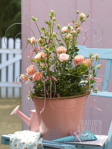PINK_POT_OF_ROSES_WITH_DECORATIVE_SUPPORT