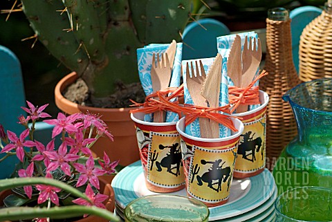 WESTERN_THEMED_GARDEN_PARTY