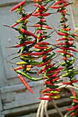 CHILLI CHAINS