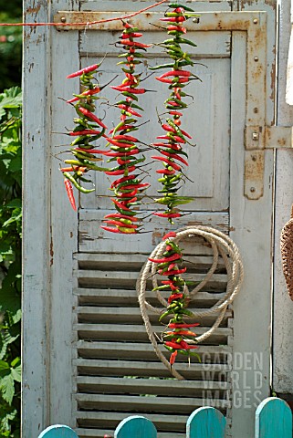 DOOR_DECORATED_WITH_CHILLI_CHAINS