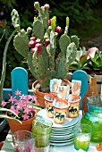 WESTERN THEMED GARDEN PARTY WITH OPUNTIA CACTUS