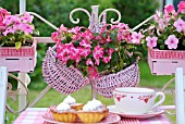 IMPATIENS IN A PINK BASKET HANGING ON A BALUSTRADE