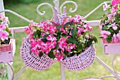 IMPATIENS IN A PINK BASKET HANGING ON A BALUSTRADE