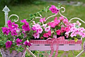 PINK WOODEN BASKET FLOWERBOX WITH IMPATIENS