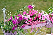 PINK WOODEN BASKET FLOWERBOX WITH IMPATIENS