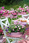 IMPATIENS AND PETUNIAS ON A SUMMER TERRACE