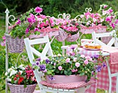 IMPATIENS AND PETUNIAS ON A SUMMER TERRACE