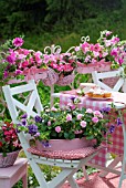 IMPATIENS AND PETUNIAS ON A SUMMER TERRACE