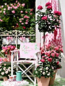 TEATIME SETTING WITH ROSES ON PATIO IN CONTAINERS