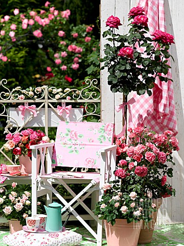 TEATIME_SETTING_WITH_ROSES_ON_PATIO_IN_CONTAINERS