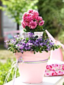 ARRANGEMENT OF DAHLIAS AND CAMPANULA IN A FLOWERPOT