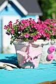 POTTED PHLOX DECORATED WITH STARFISH