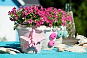 POTTED PHLOX DECORATED WITH STARFISH