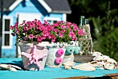 POTTED PHLOX DECORATED