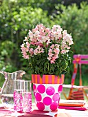 ANTIRRHINUMS IN A DECORATED FLOWERPOT