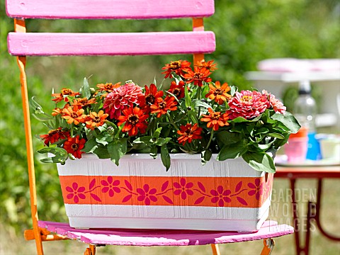 FLOWERBOX_WITH_ZINNIAS