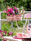 IMPATIENS IN A DOTTED FLOWERBOX