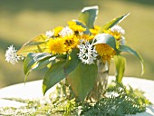 BOUQUET OF DANDELIONS AND ALLIUM URSINUM