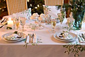 MISTLETOE PATTERN PLACE SETTING