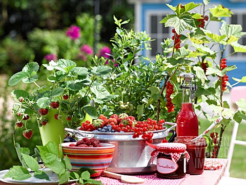 JAM_MADE_FROM_BERRIES_ON_THE_BALCONY