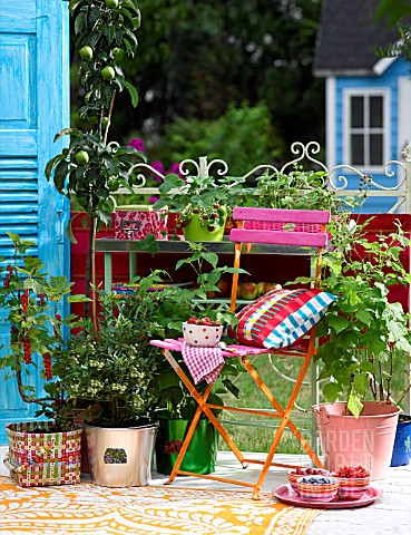 FRUIT_PLANTS_ON_THE_BALCONY