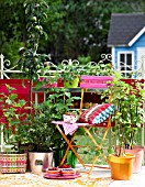 FRUITS AND BERRIES ON PATIO WITH CHAIRS AND CONTAINERS