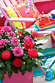 SEATING AREA ON A BALCONY WITH DAHLIAS