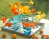 TROPAEOLUM (NASTURTIUM) FLOWERS IN VASES