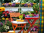 COLOURFUL AUTUMNAL BALCONY WITH CONTAINER PLANTS AND FURNITURE