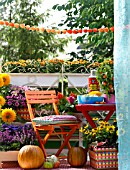 COLOURFUL AUTUMNAL BALCONY WITH CONTAINER PLANTS AND FURNITURE