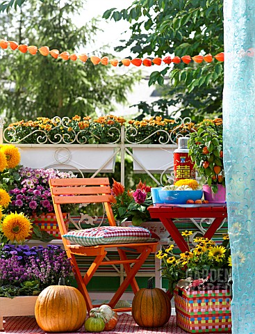 COLOURFUL_AUTUMNAL_BALCONY_WITH_CONTAINER_PLANTS_AND_FURNITURE
