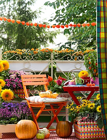 COLOURFUL_AUTUMNAL_BALCONY_WITH_CONTAINER_PLANTS_AND_FURNITURE