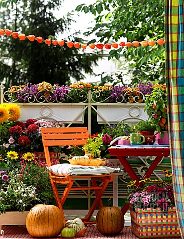 COLORFUL_AUTUMNAL_BALCONY_WITH_CONTAINER_PLANTS_AND_FURNITURE