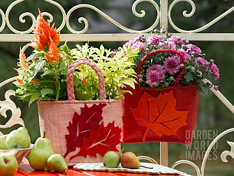 A_DISPLAY_OF_AUTUMNAL_PLANTS_IN_BASKET_CONTAINERS