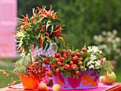 AUTUMNAL FRUITS IN FLOWERPOTS, ROSE HIPS, BERRIES AND CHILLIES