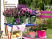 POTTED HEATHERS, ASTERS AND CHRYSANTHEMUMS