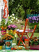 AUTUMNAL TERRACE WITH POTTED PLANTS AND A CHAIR