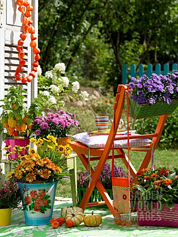 AUTUMNAL_TERRACE_WITH_POTTED_PLANTS_AND_A_CHAIR