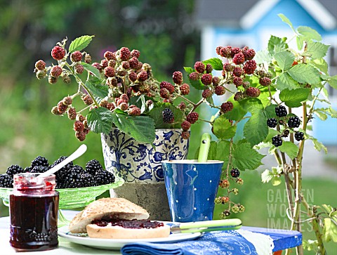 BLACKBERRIES