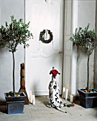 DOG, DOOR AND CONTAINERS