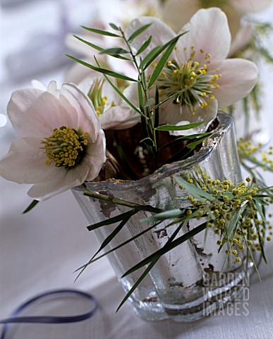 BOUQUET_OF_HELLEBORUS_AND_MIMOSA