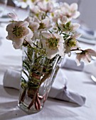 HELLEBORUS IN A GLASS VASE