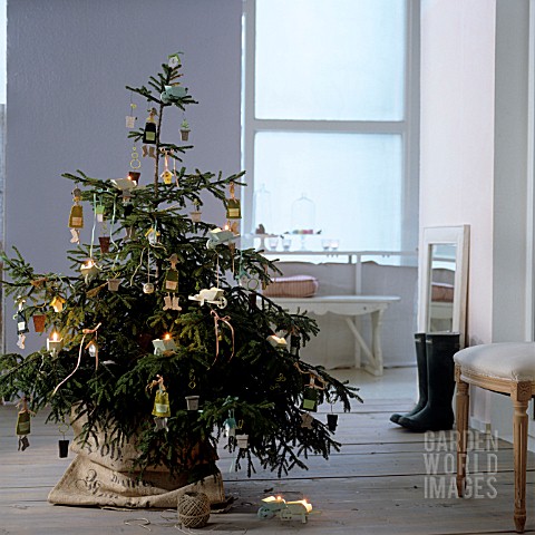 DECORATED_CHRISTMAS_TREES