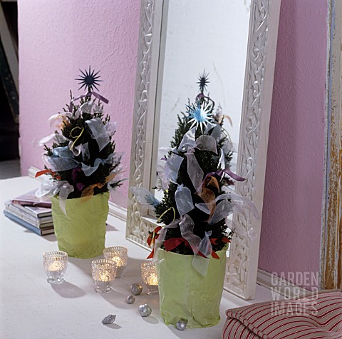 LITTLE_FIRS_DECORATED_WITH_RIBBONS