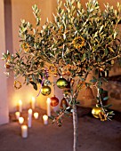 OLIVE TREE DECORATED