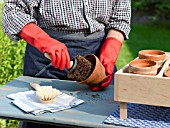 CLEANING POTS