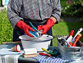 CLEANING SECATEURS