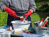 CLEANING SECATEURS